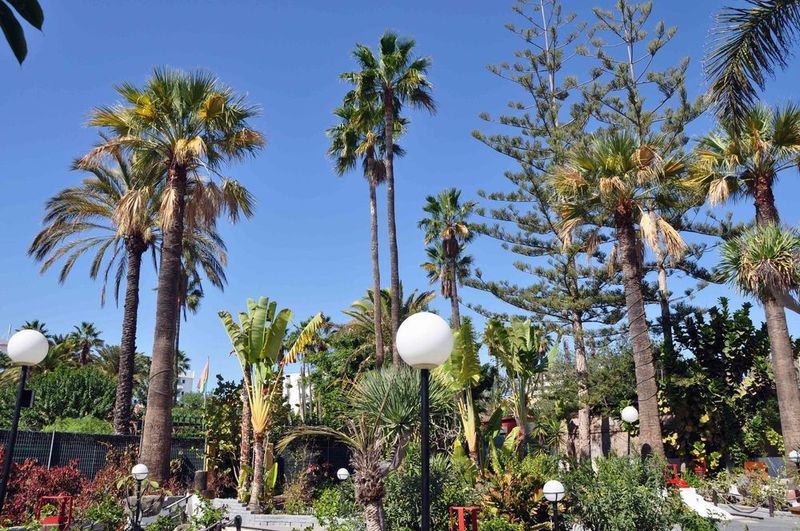 San Valentin & Terraflor Park Playa del Inglés